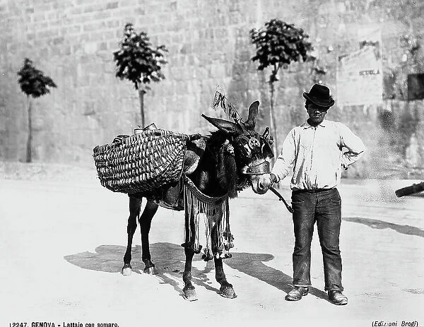 Milk-man with his donkey in Genoa